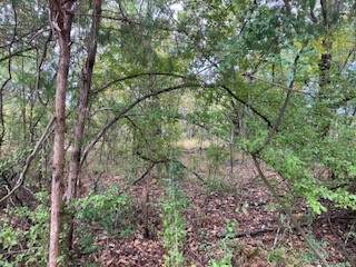 Tbd Lot 17 Westwood Drive Trinidad TX 75163