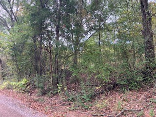 Tbd Lot 17 Westwood Drive Trinidad TX 75163