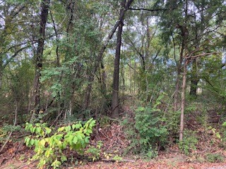 Tbd Lot 17 Westwood Drive Trinidad TX 75163