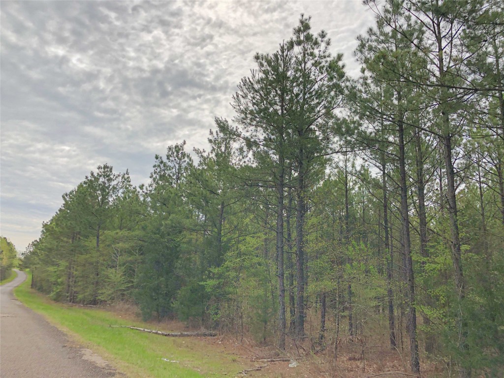 000 Cr 2115 Hughes Springs TX 75656