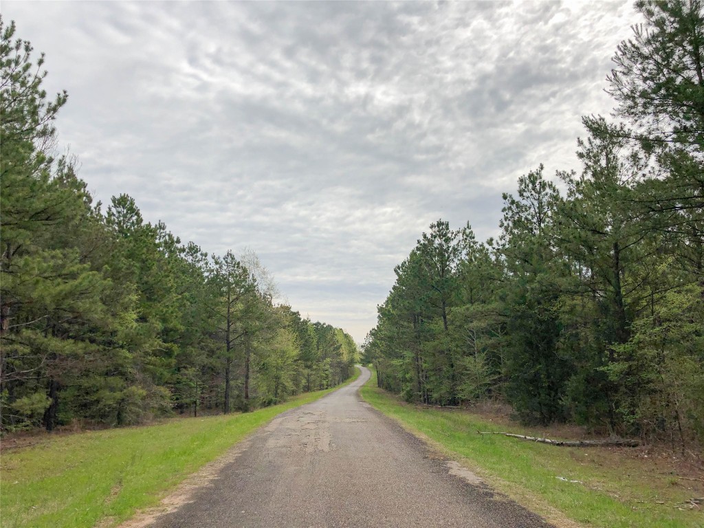 000 Cr 2115 Hughes Springs TX 75656