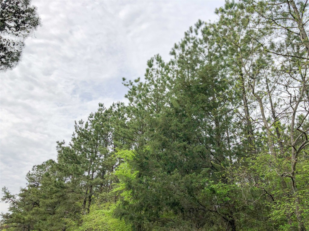 000 Cr 2115 Hughes Springs TX 75656