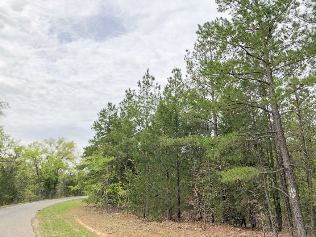 000 Cr 2115 Hughes Springs TX 75656