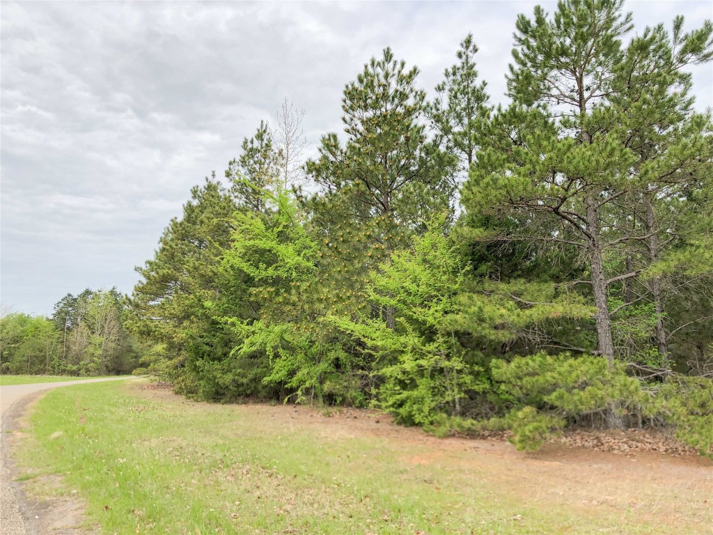 000 Cr 2115 Hughes Springs TX 75656