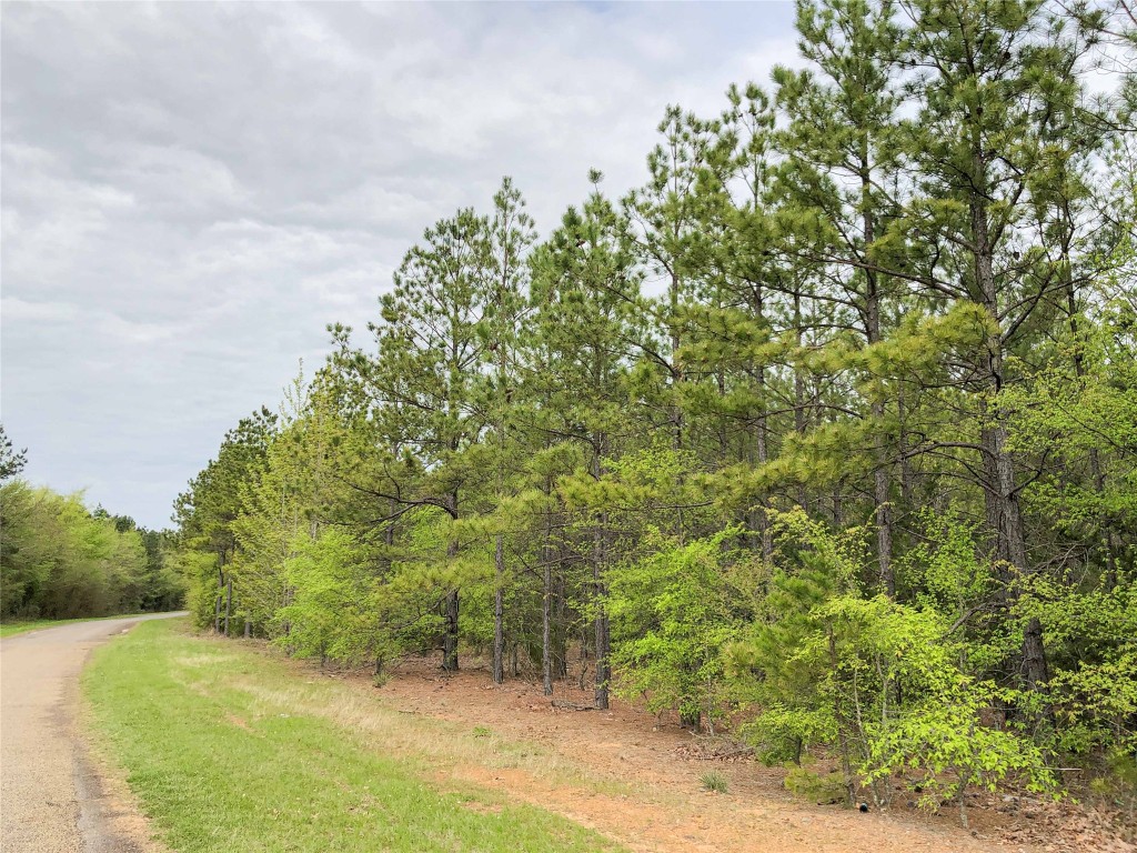 000 Cr 2115 Hughes Springs TX 75656