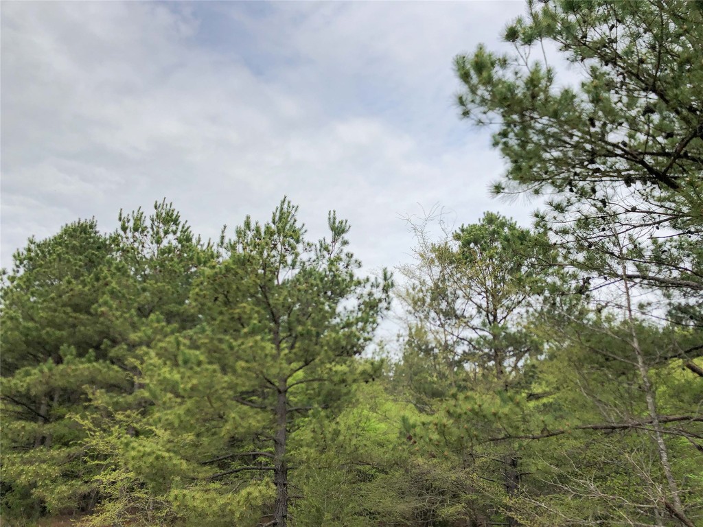 000 Cr 2115 Hughes Springs TX 75656