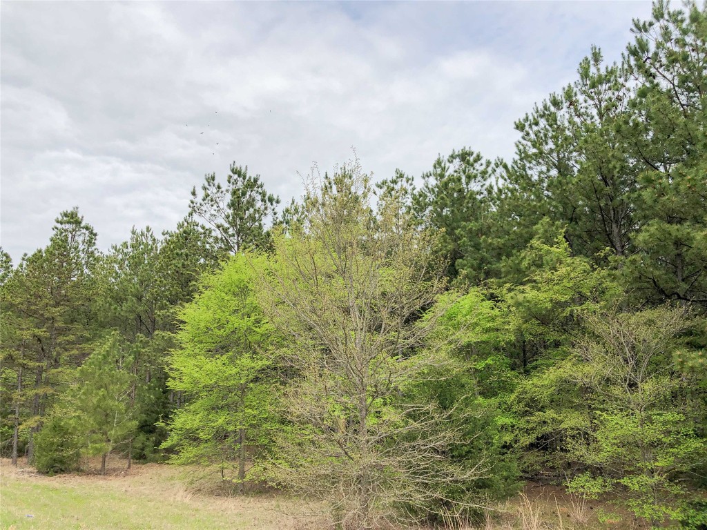 000 Cr 2115 Hughes Springs TX 75656