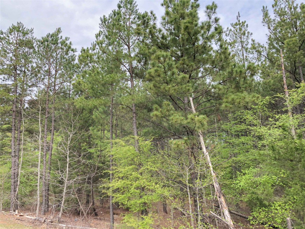 000 Cr 2115 Hughes Springs TX 75656