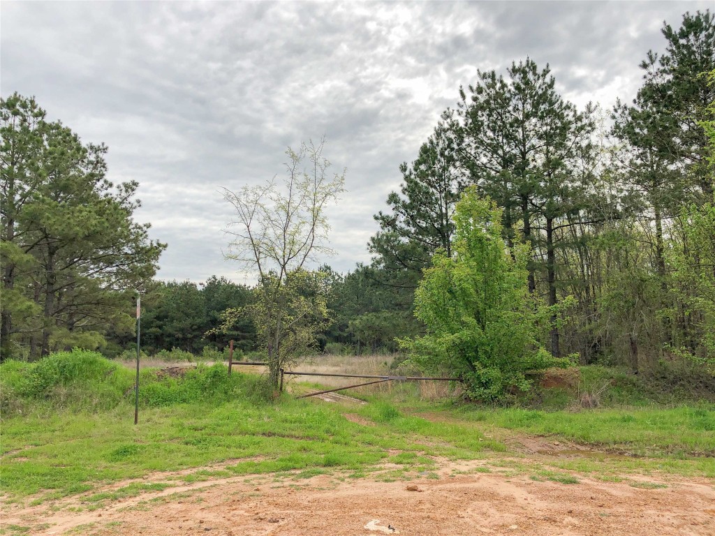 000 Cr 2115 Hughes Springs TX 75656