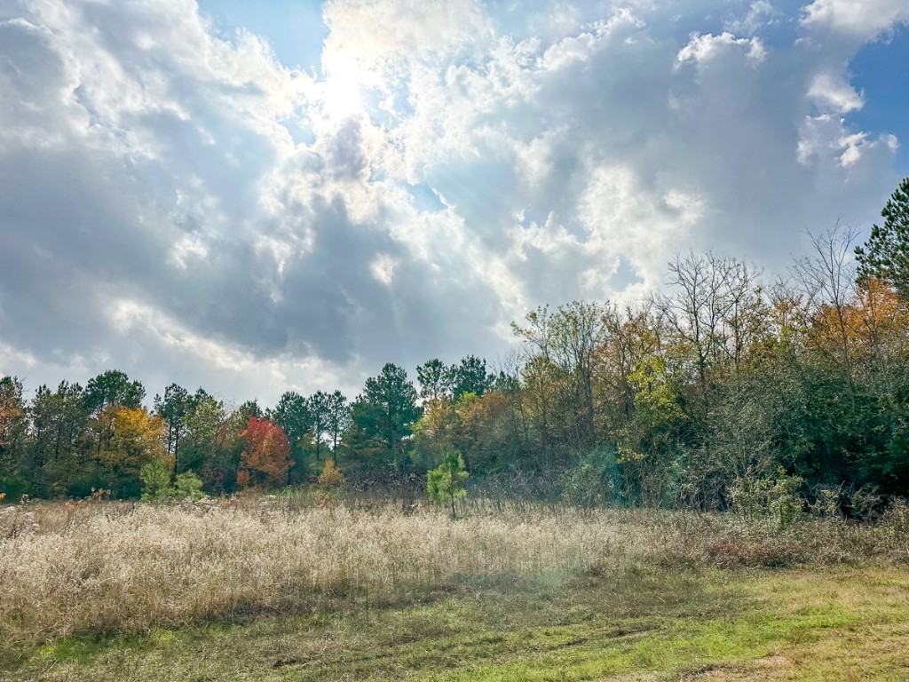 000 Cr 2115 Hughes Springs TX 75656