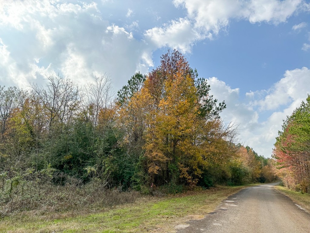 000 Cr 2115 Hughes Springs TX 75656