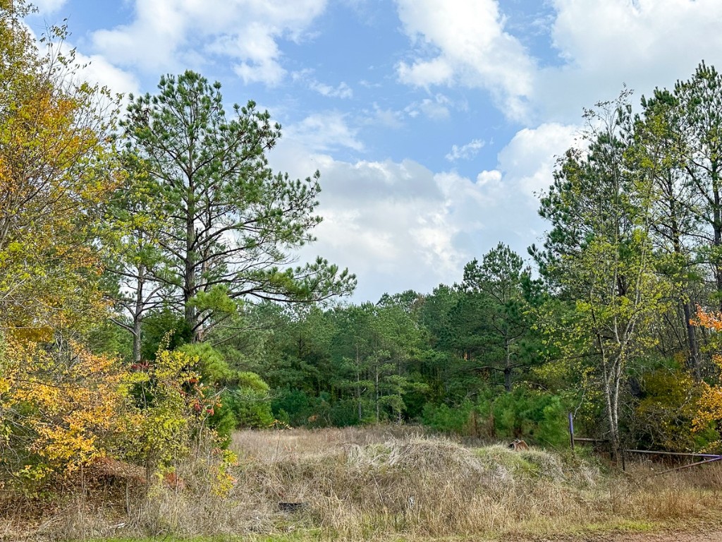 000 Cr 2115 Hughes Springs TX 75656
