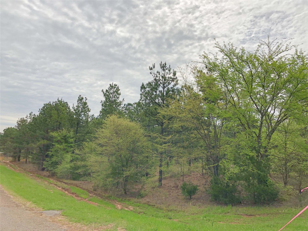 000 Cr 2115 Hughes Springs TX 75656