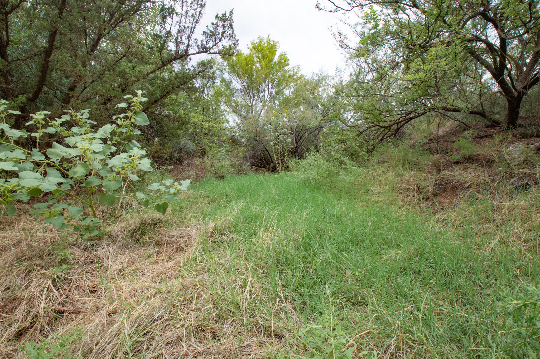 3108 Cr 125 Colorado City TX 79512