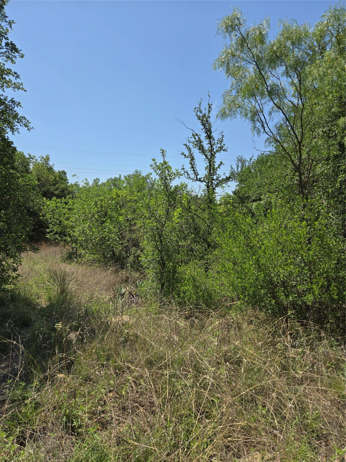 7143 Dillard Drive Brownwood TX 76801