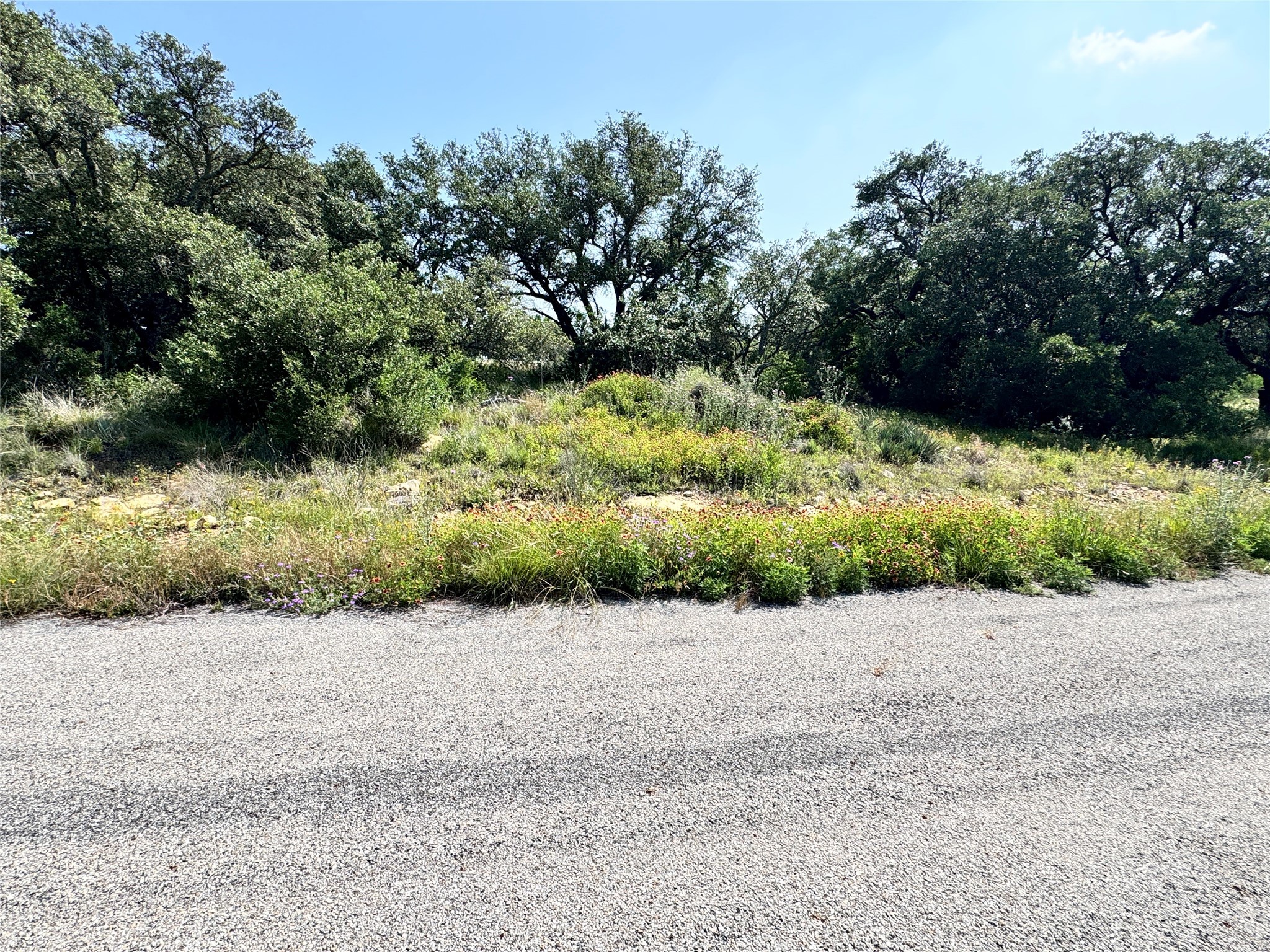 Tbd Lot 991, 992 Long View Drive Brownwood TX 76801