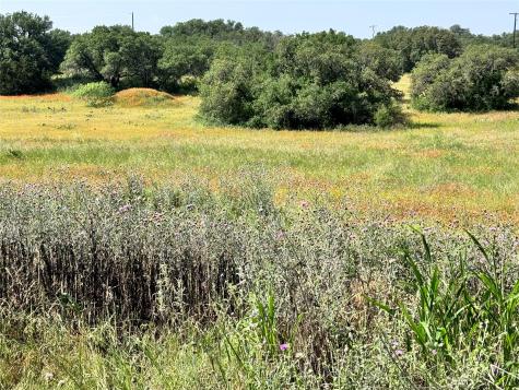 Tbd Lot 991, 992 Long View Drive Brownwood TX 76801
