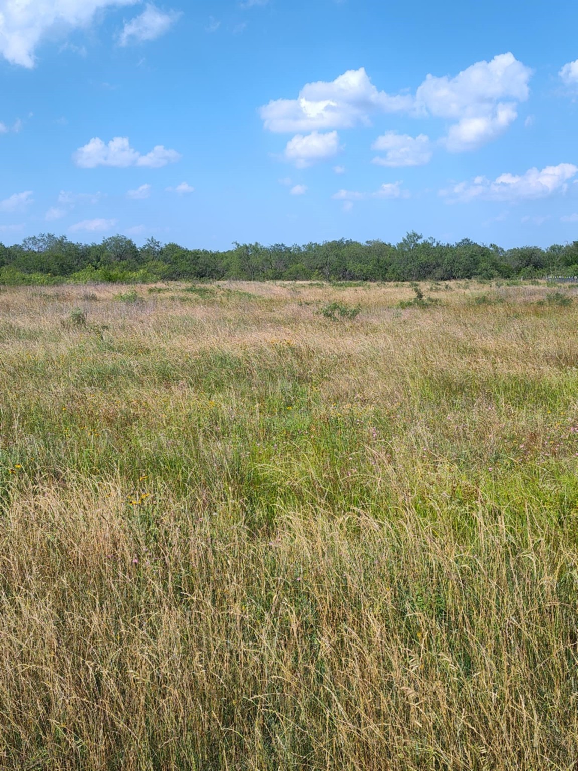 49 Boren Private Road Wortham TX 76693