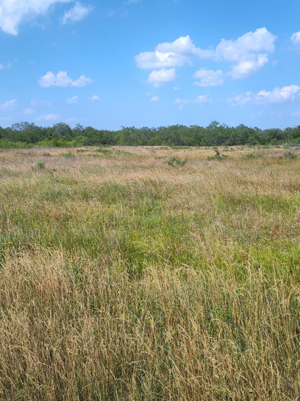 49 Boren Private Road Wortham TX 76693