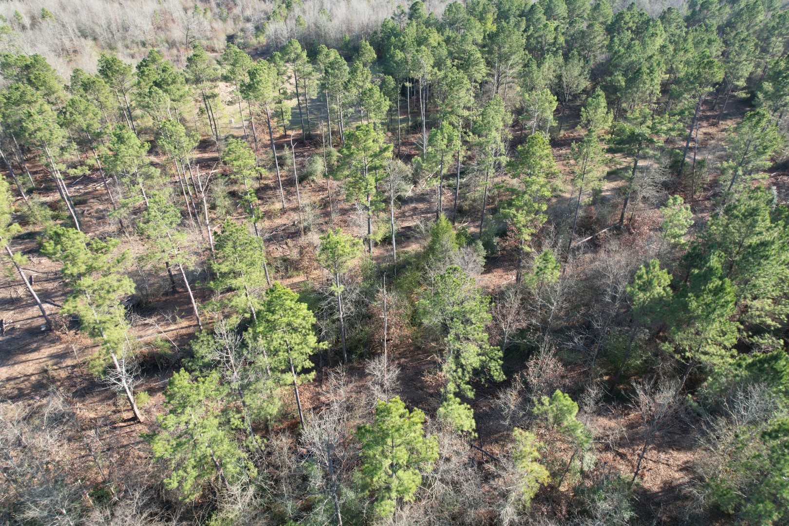 Tbd-d County Road 216 Beckville TX 75631