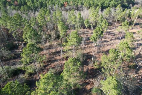 Tbd-d County Road 216 Beckville TX 75631
