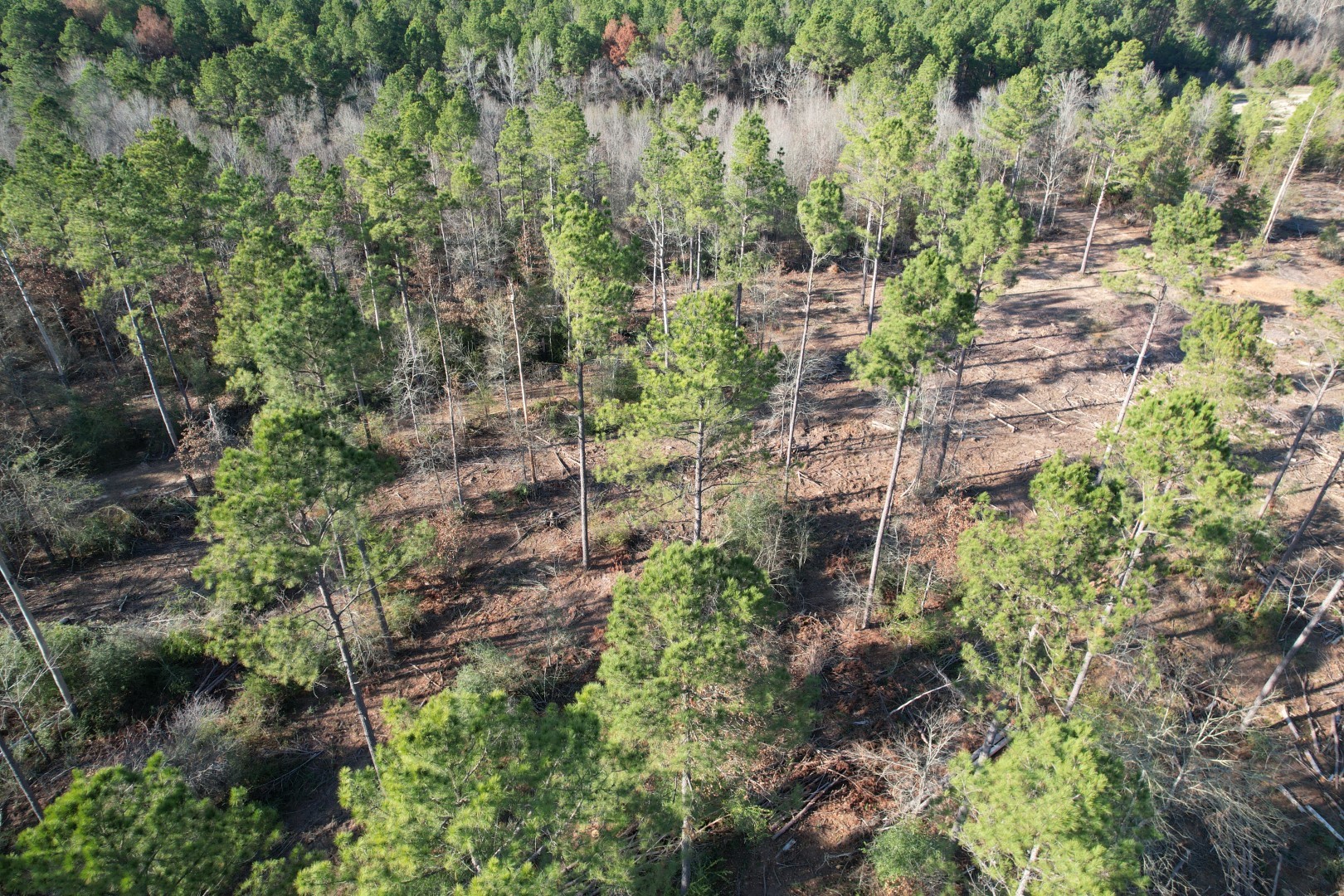 Tbd-d County Road 216 Beckville TX 75631