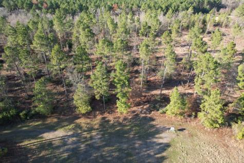 Tbd-d County Road 216 Beckville TX 75631
