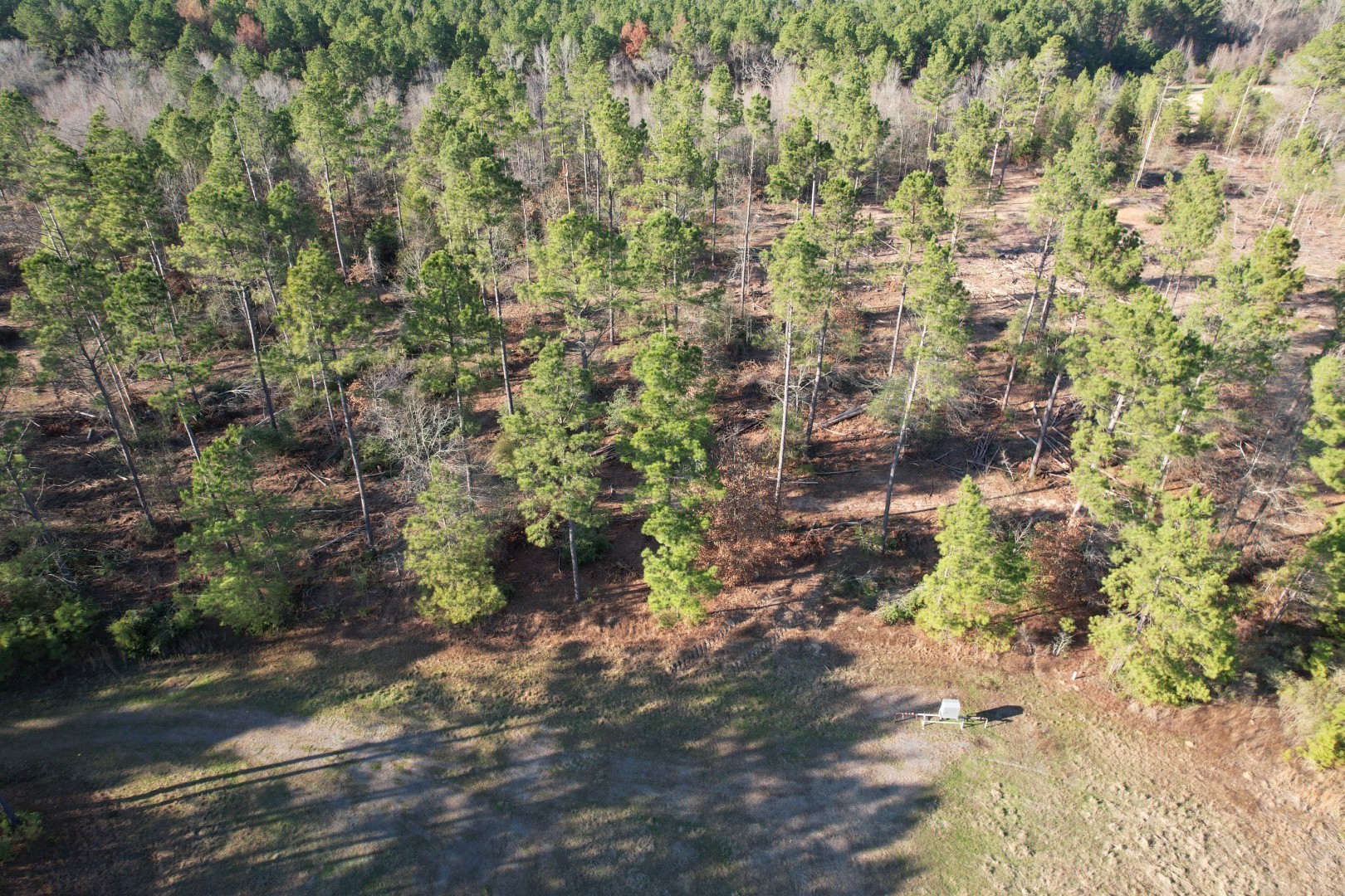 Tbd-d County Road 216 Beckville TX 75631
