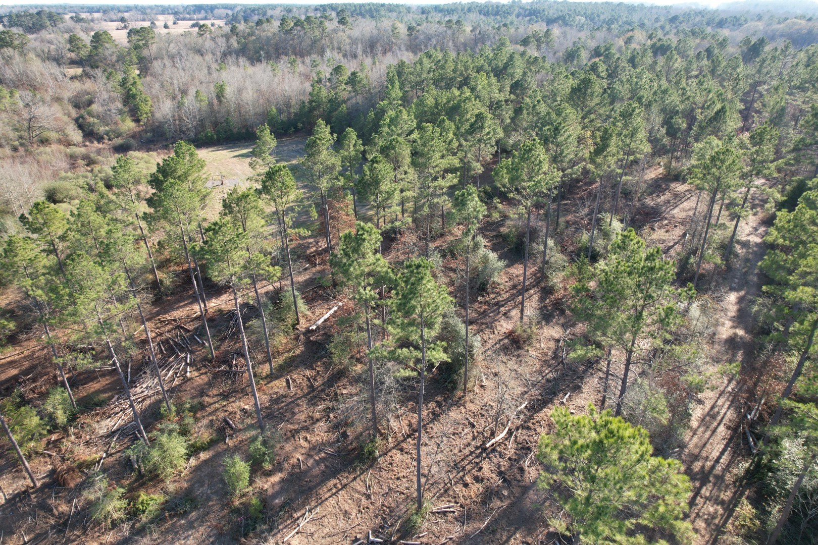 Tbd-d County Road 216 Beckville TX 75631
