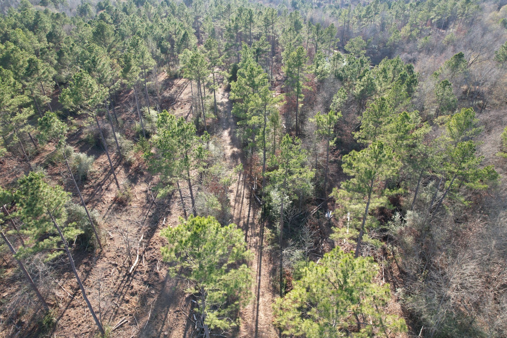 Tbd-d County Road 216 Beckville TX 75631