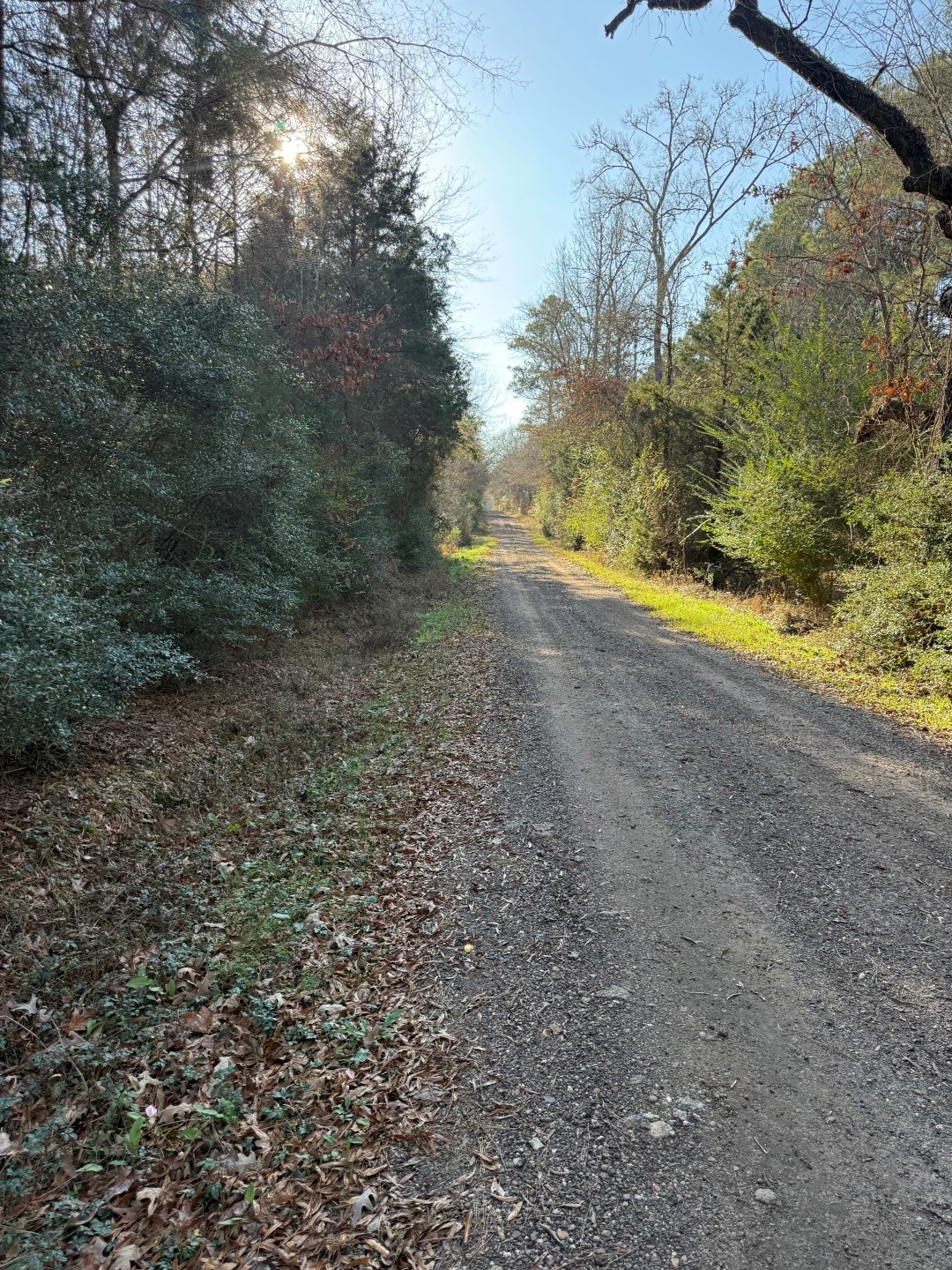 Tbd-d County Road 216 Beckville TX 75631