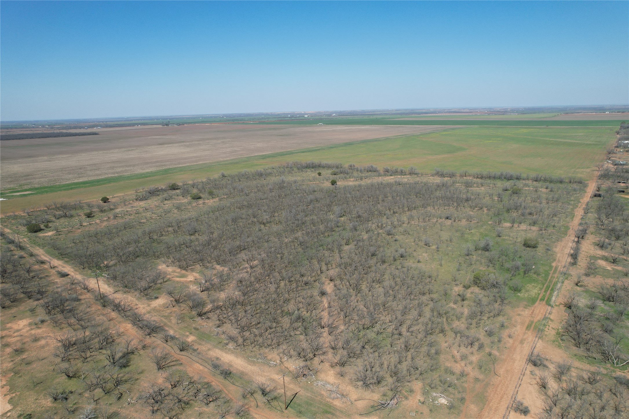 Tbd Cr 409 Merkel TX 79536