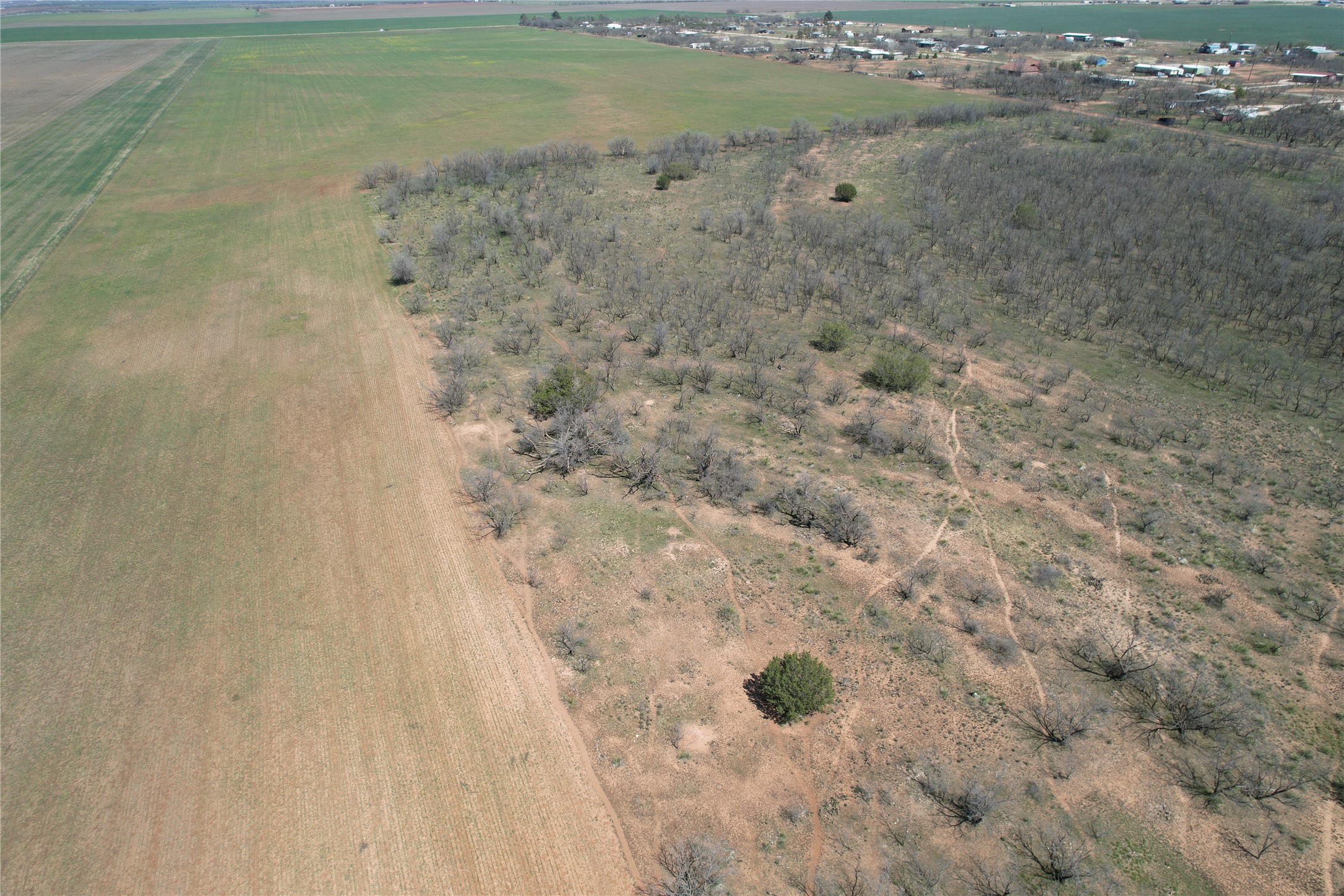Tbd Cr 409 Merkel TX 79536