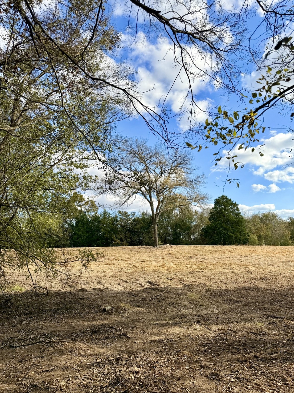 Lot #7 Rs County Road 1150 Emory TX 75440
