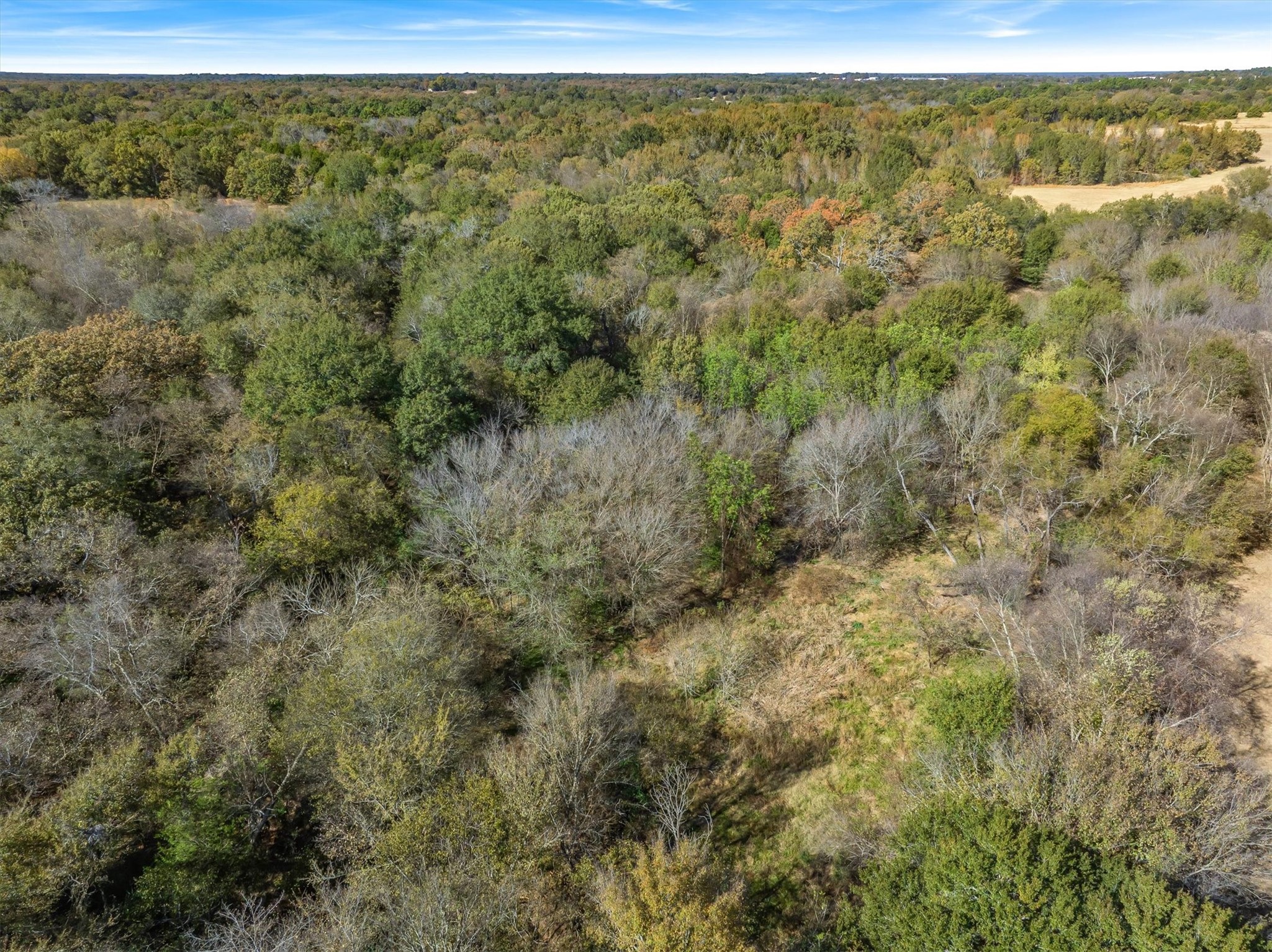 Lot #7 Rs County Road 1150 Emory TX 75440
