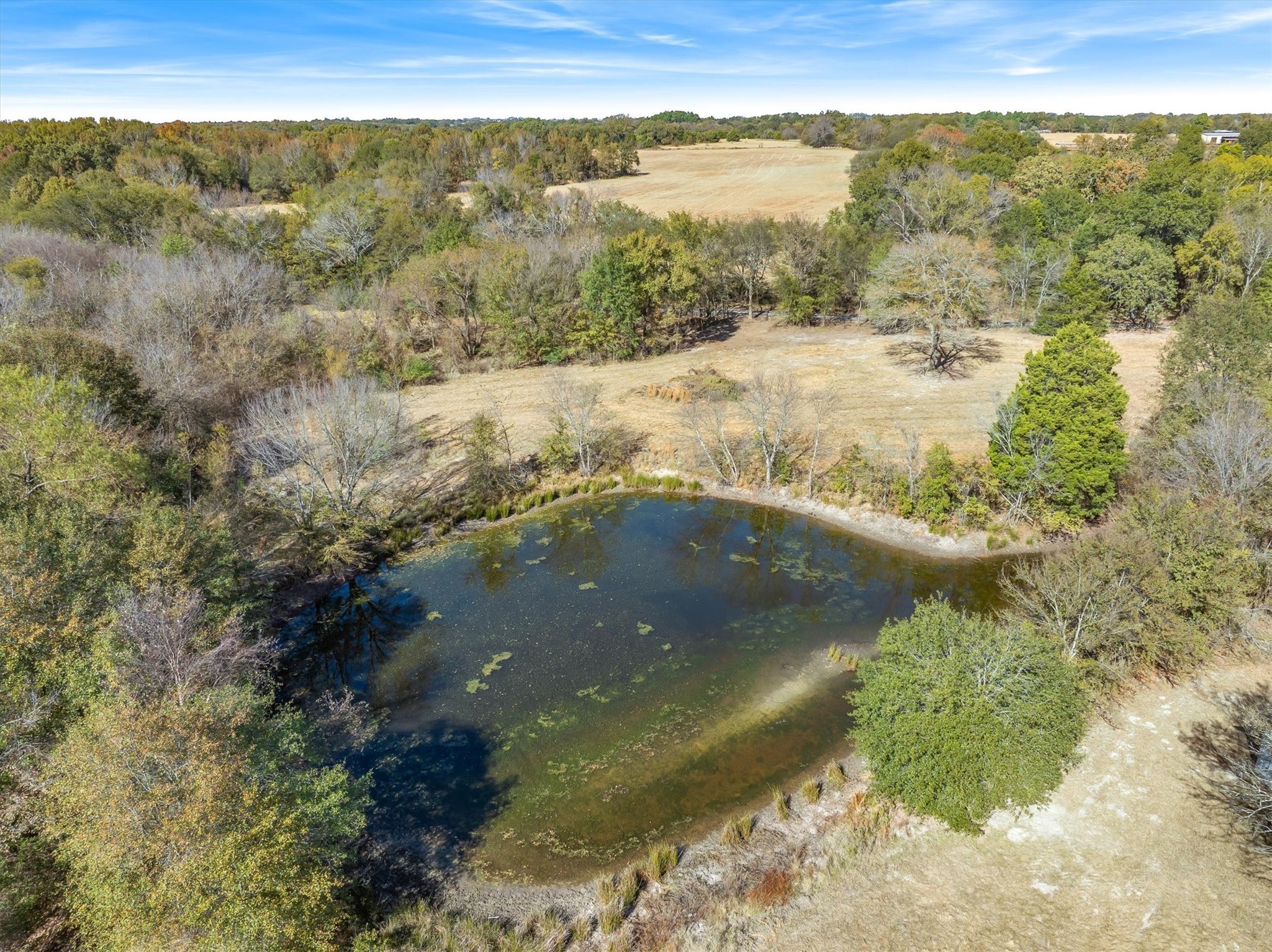 Lot #7 Rs County Road 1150 Emory TX 75440