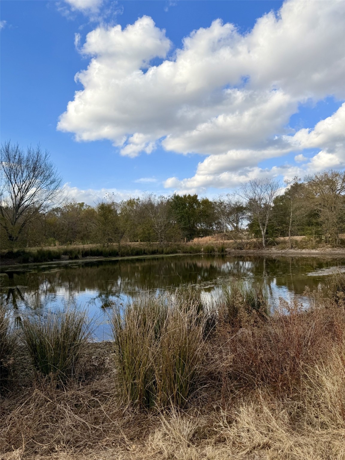 Lot #7 Rs County Road 1150 Emory TX 75440
