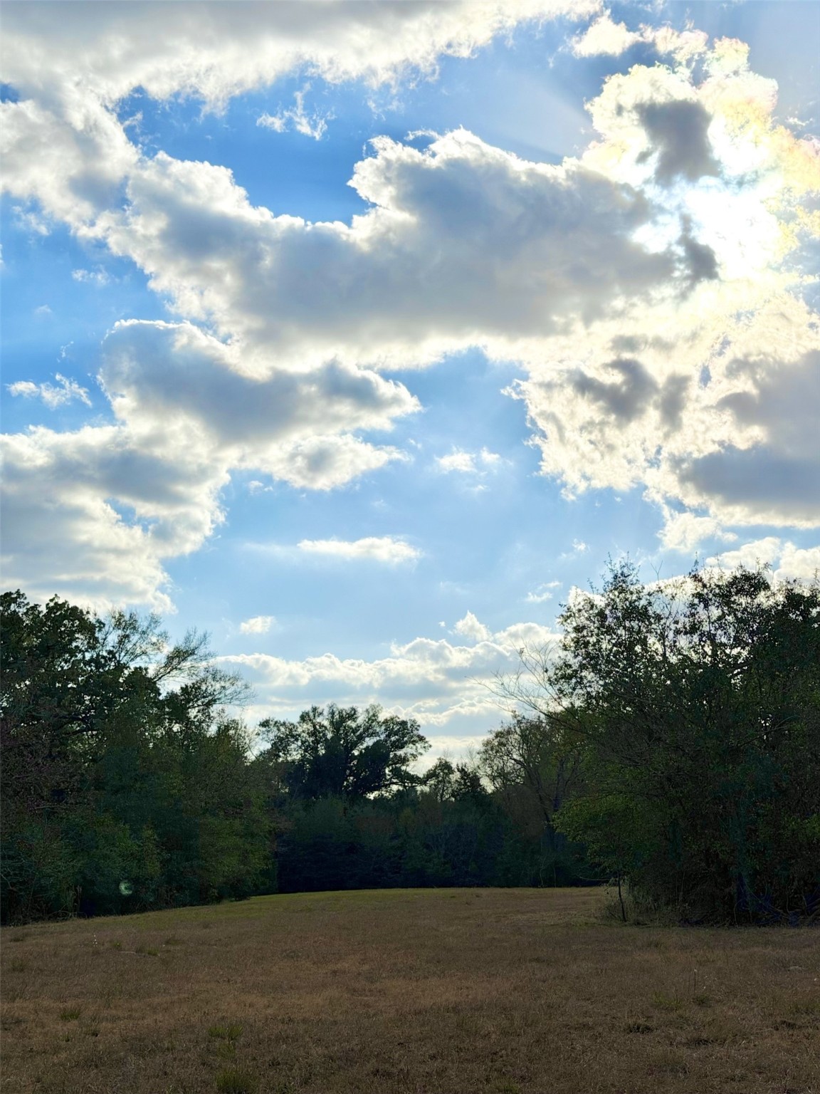 Lot #7 Rs County Road 1150 Emory TX 75440