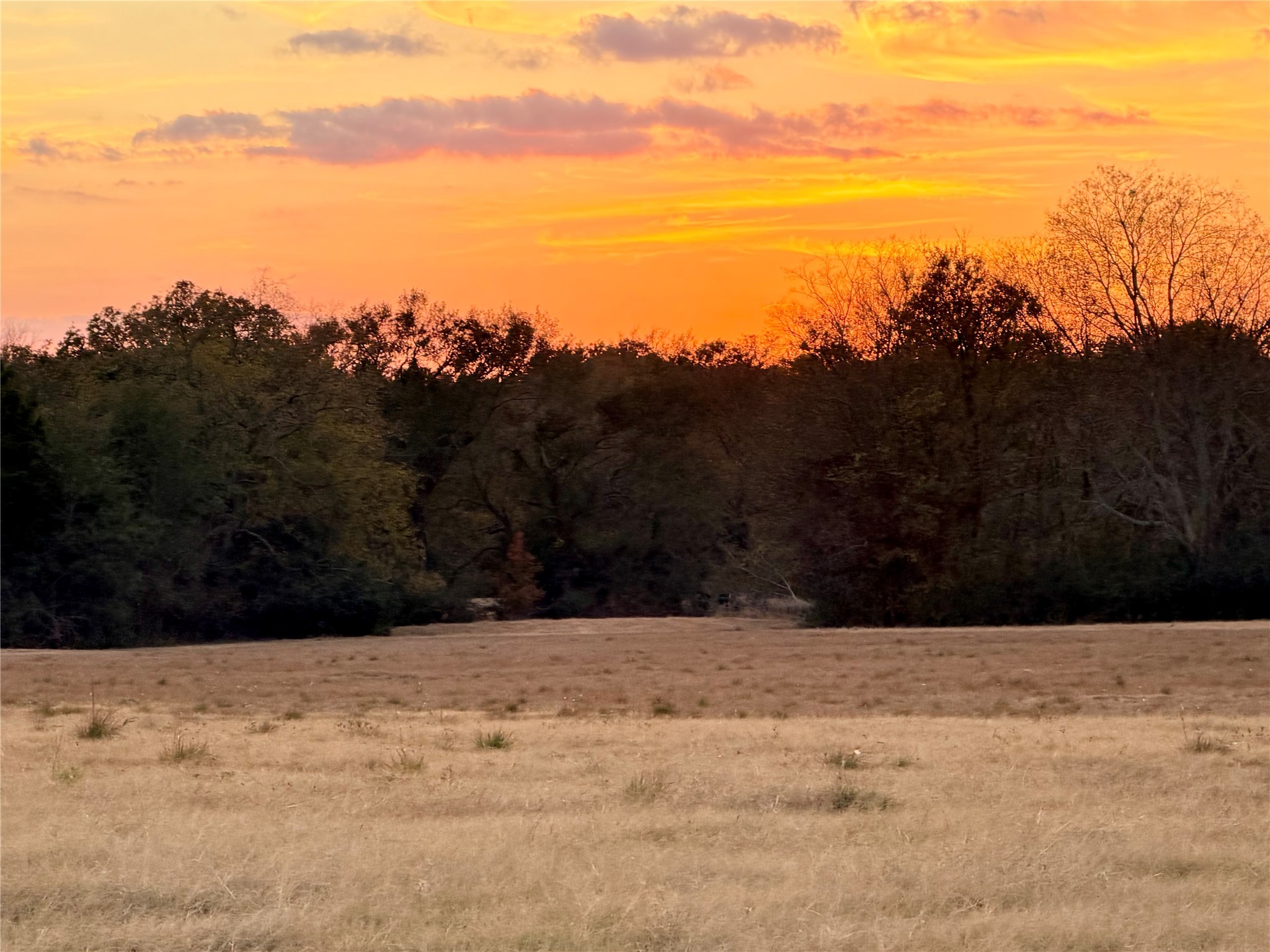 Lot #7 Rs County Road 1150 Emory TX 75440
