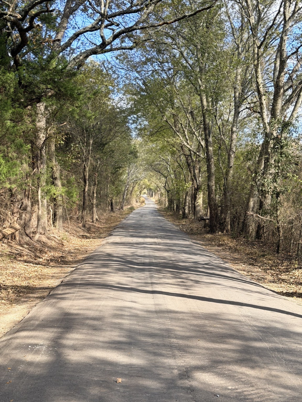 Lot #7 Rs County Road 1150 Emory TX 75440