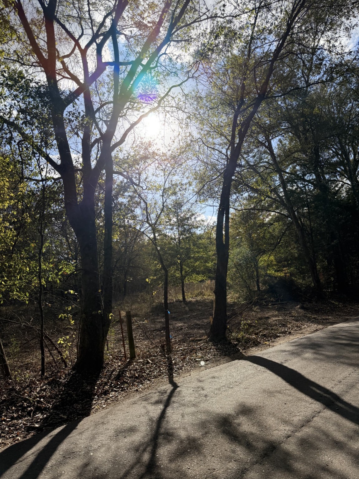 Lot #7 Rs County Road 1150 Emory TX 75440