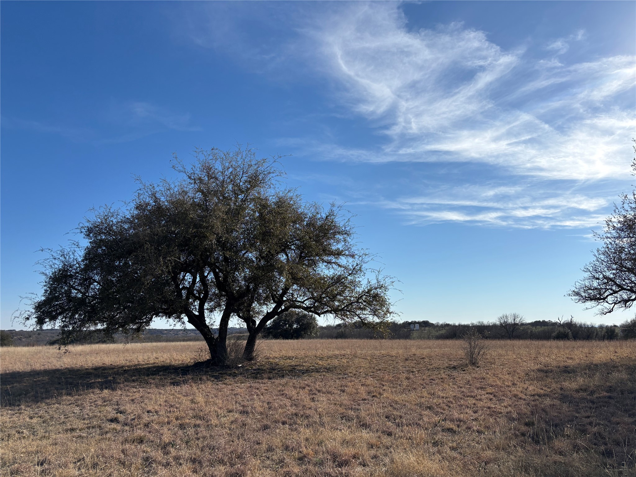 196 Ava Grace Lane Dublin TX 76446