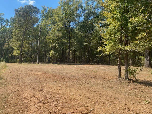 Lot 7r-1 N Private Road 52416 Road Leesburg TX 75451