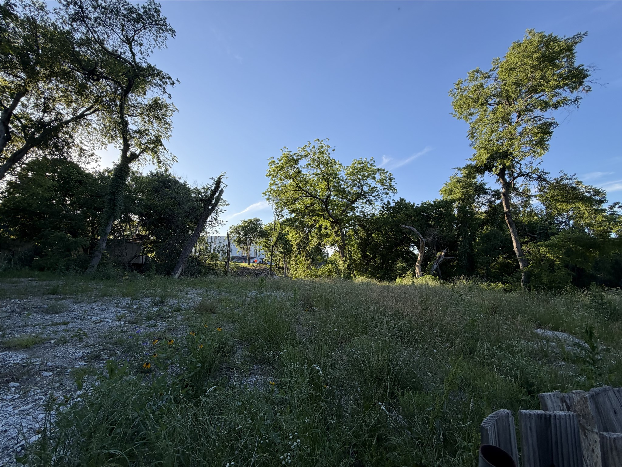 1615 Sicily Street Dallas TX 75203