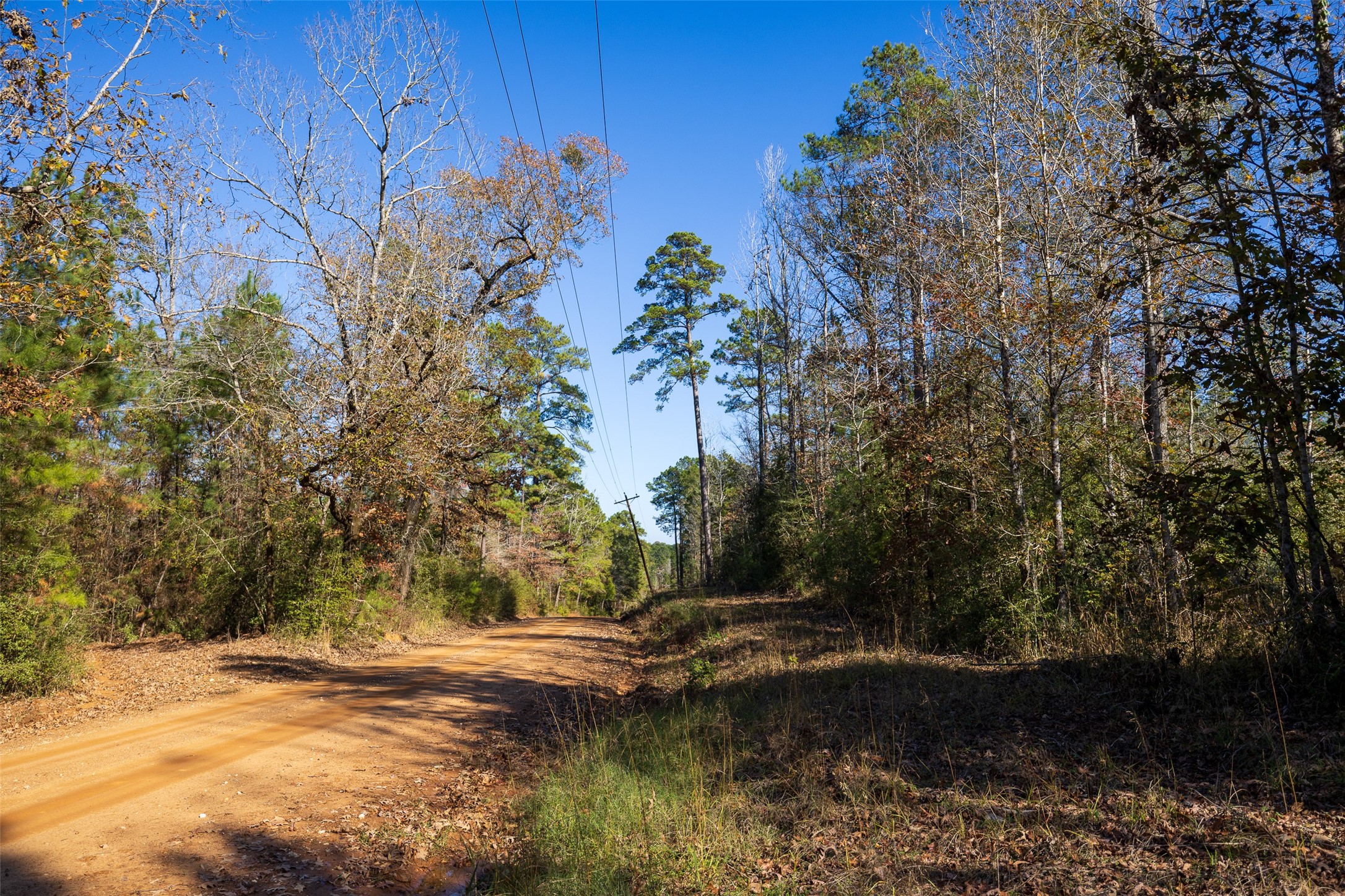 000 County Road 1135 Kennard TX 75835