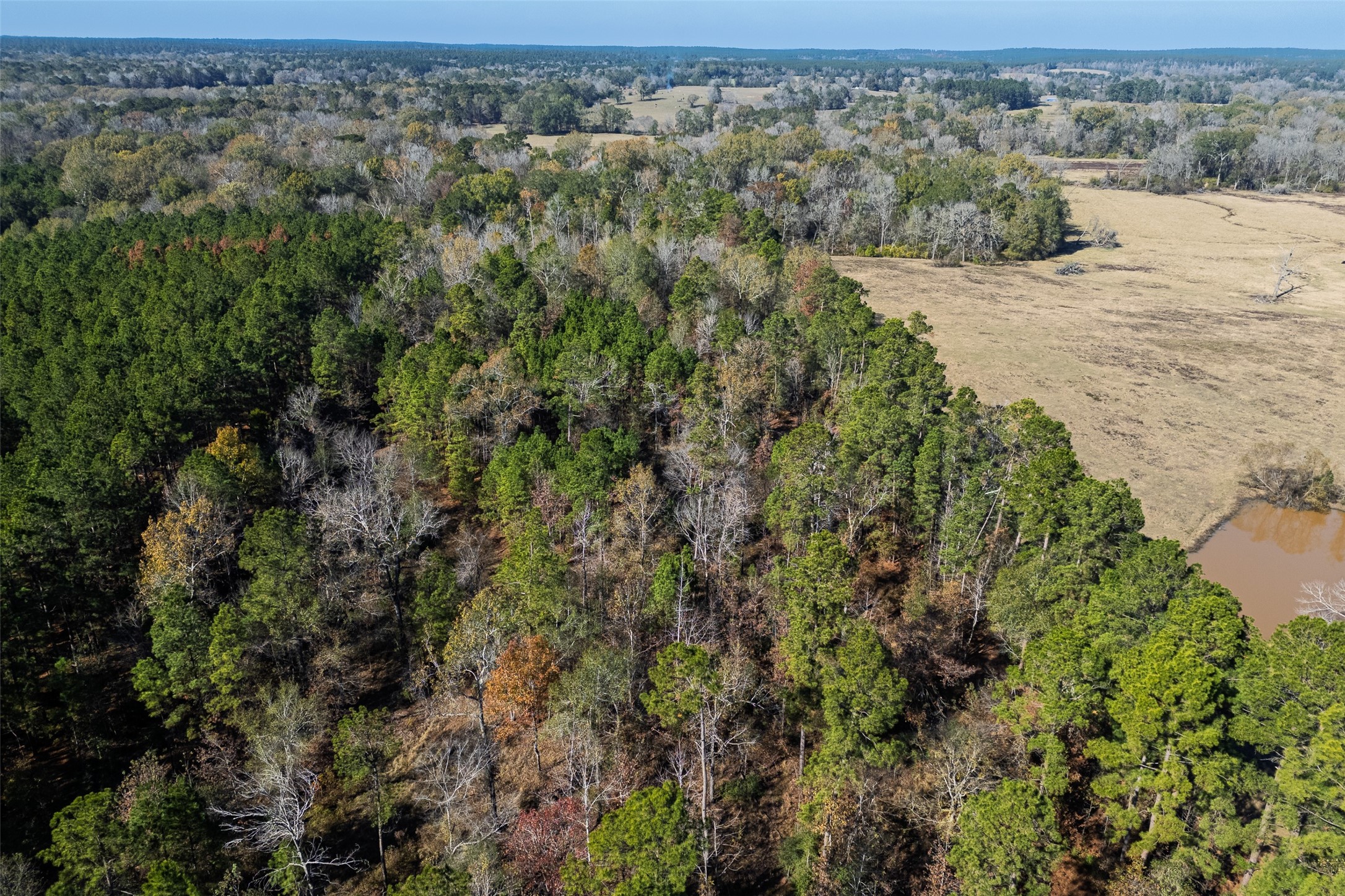 000 County Road 1135 Kennard TX 75835
