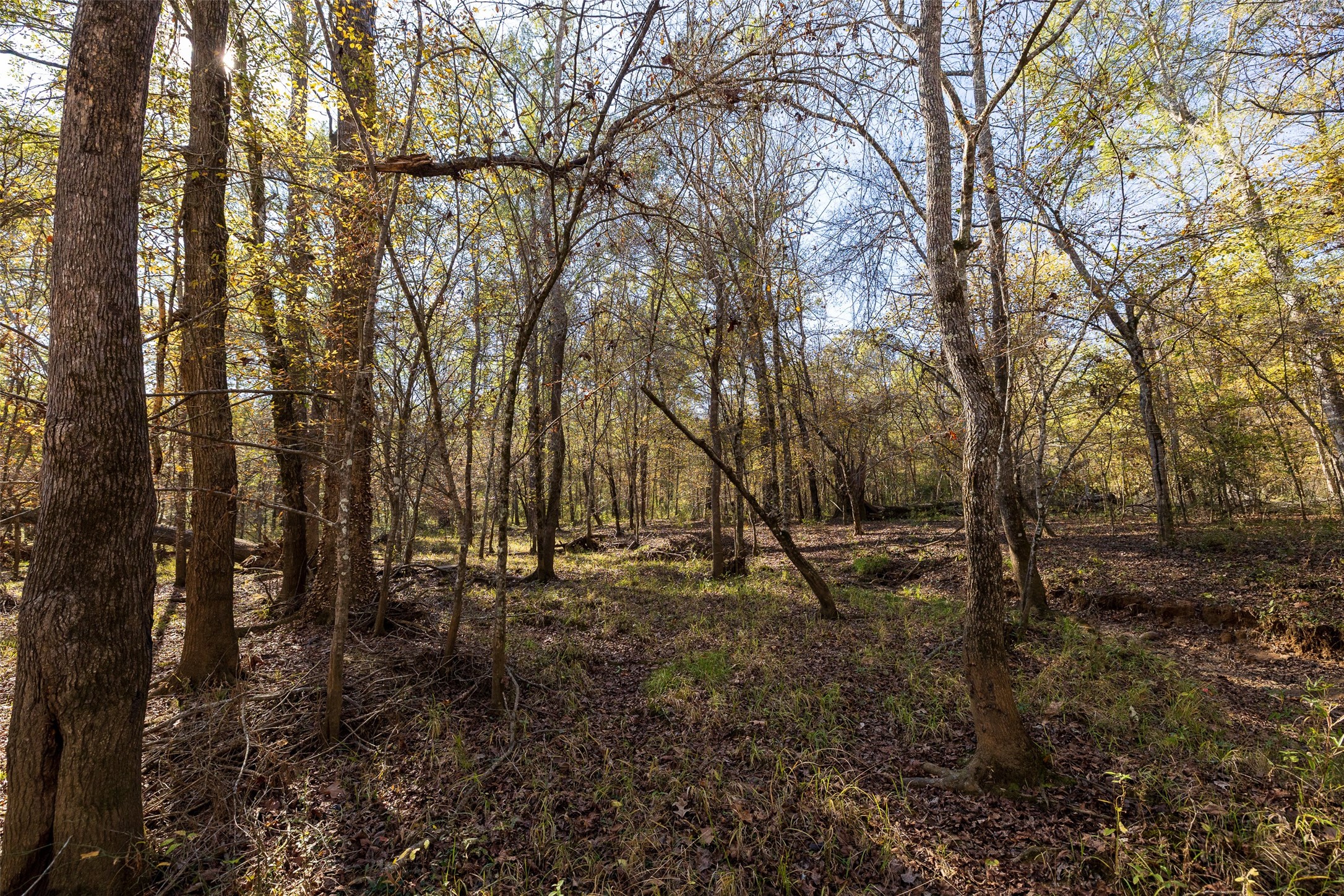 000 County Road 1135 Kennard TX 75835