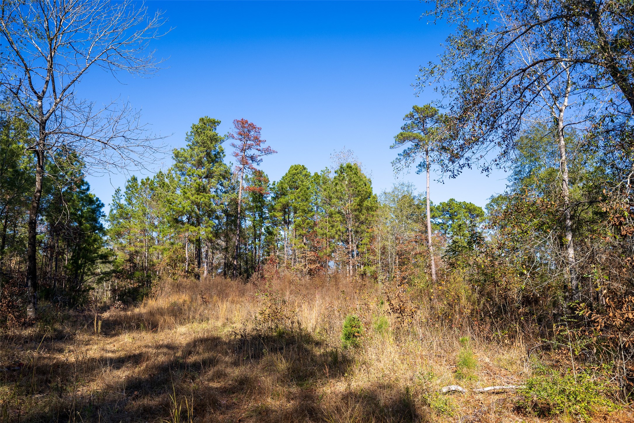 000 County Road 1135 Kennard TX 75835
