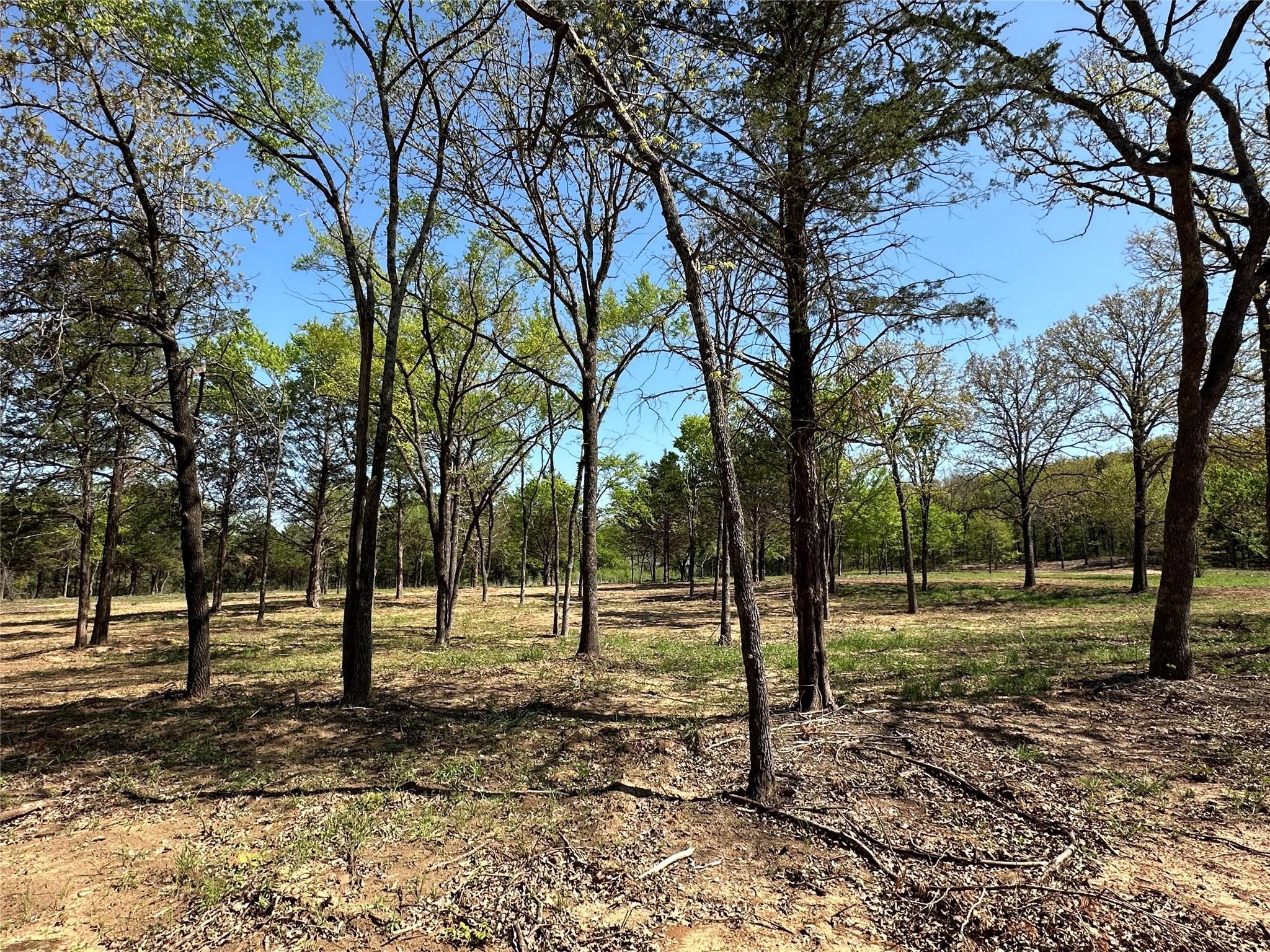 Tbd Lot 5 Cr-194 Gainesville TX 76240