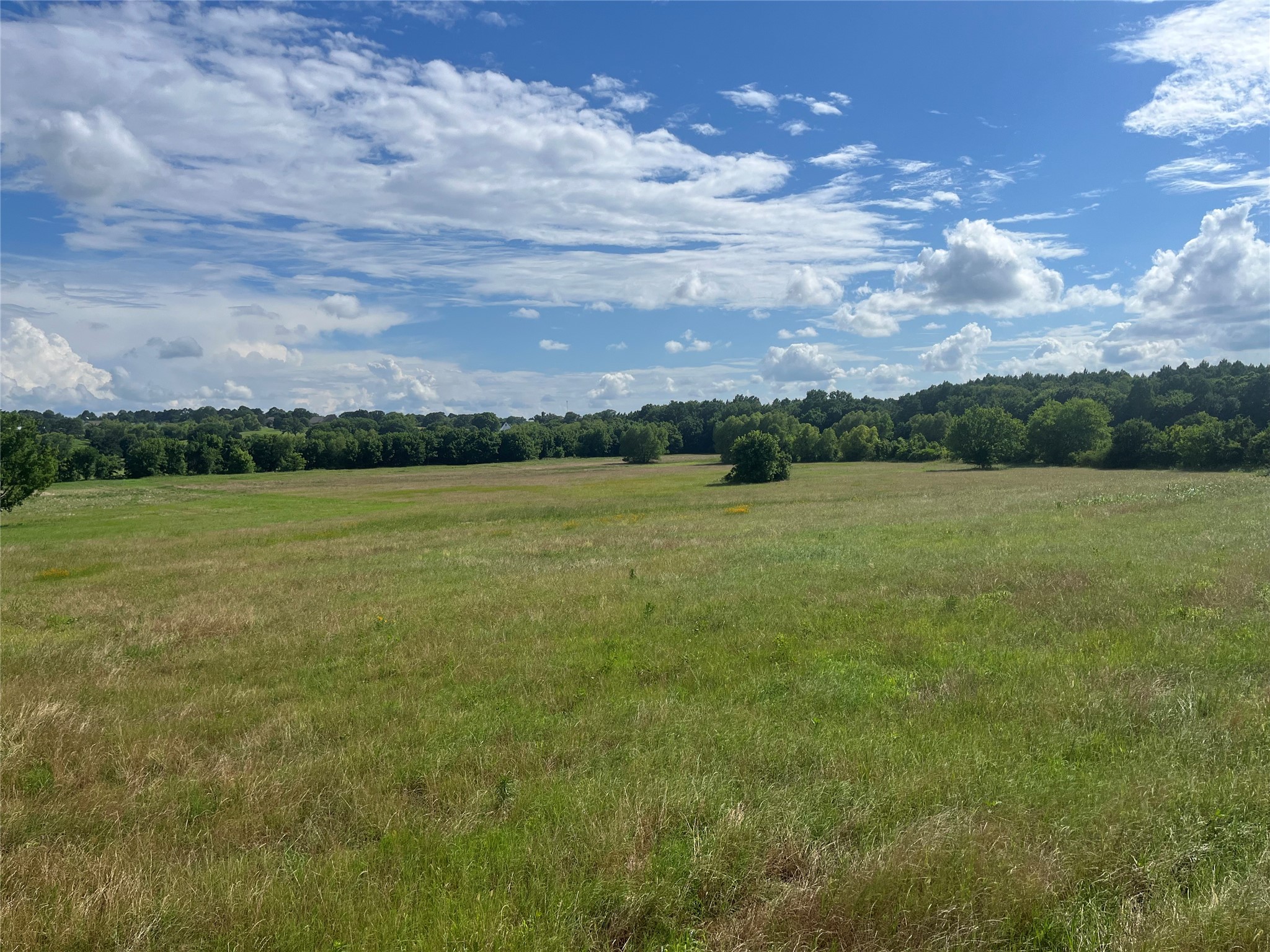 Lot 351 Grand View Drive Athens TX 75752